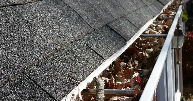 Gutter Cleaning Services in Upstate New York