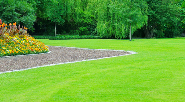 LANDSCAPING SERVICE IN UPSTATE NEW YORK - All American Sealcoating